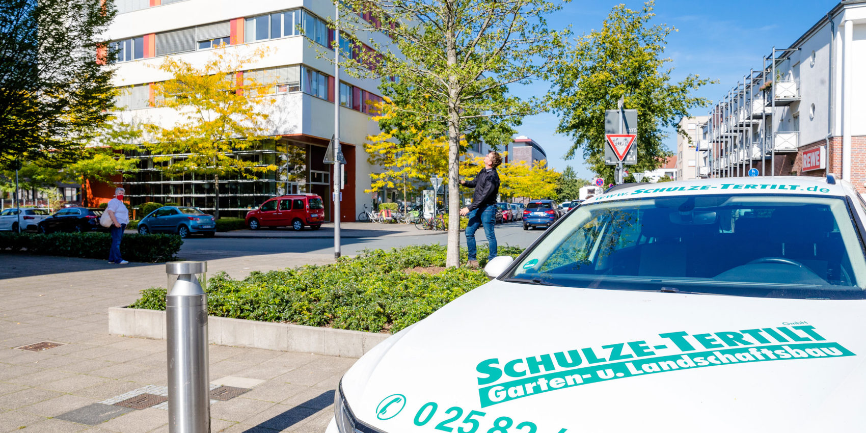 Eichenprozessionsspinner: Bekämpfung mit unseren Gerätschaftenr