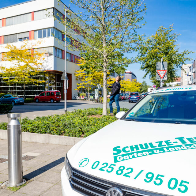 Eichenprozessionsspinner: Bekämpfung mit unseren Gerätschaftenr