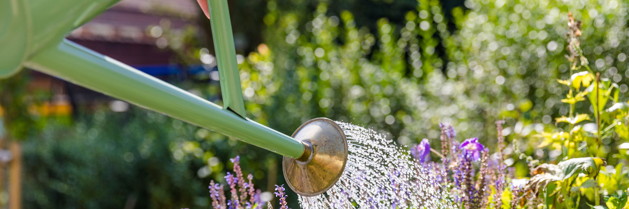 Gartenpflege - unsere Mitarbeiter sind Experten für die Pflege und Instandhaltung von hochwertigen Privatgärten