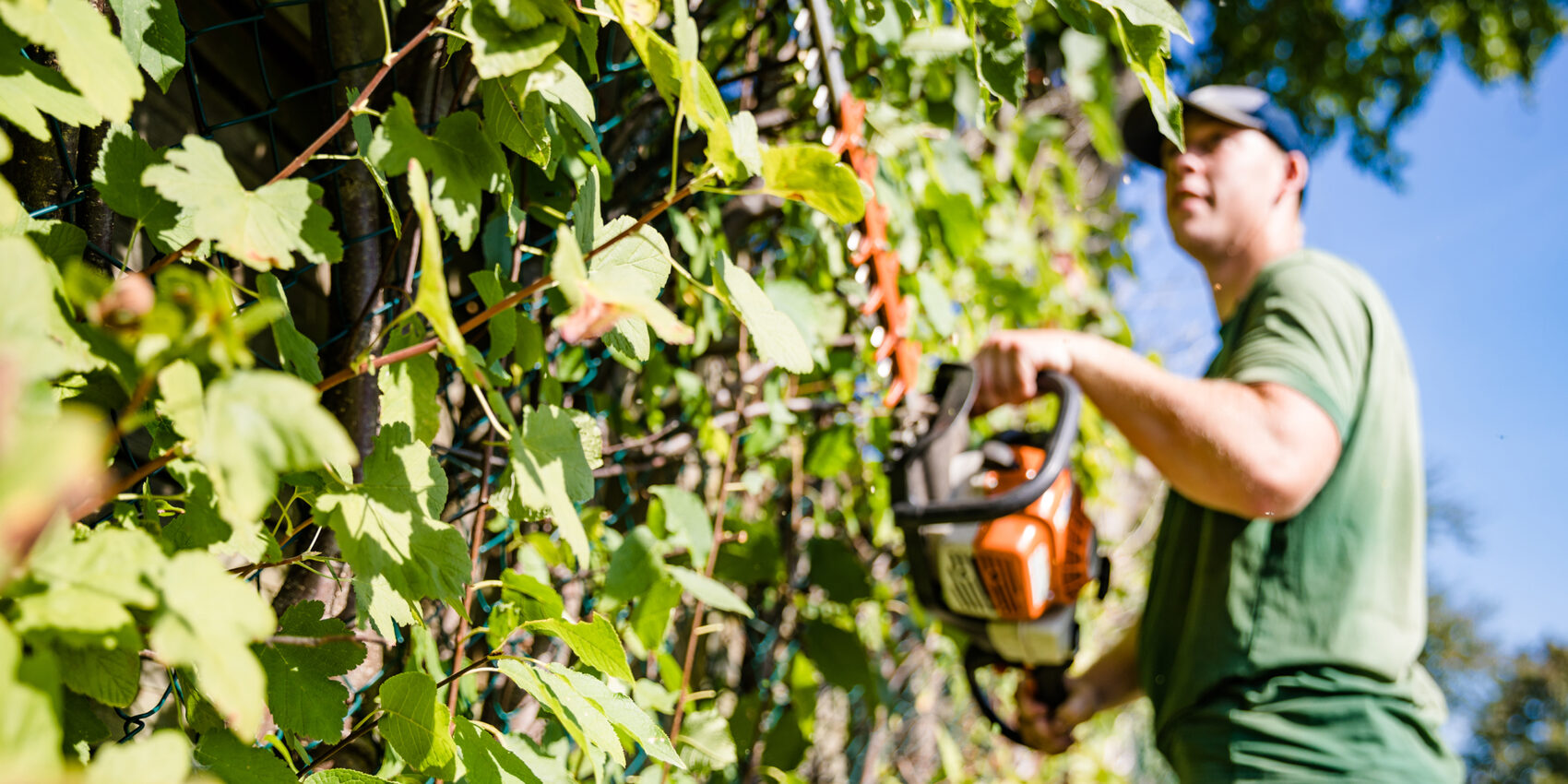 Gartenarbeiten im Herbst